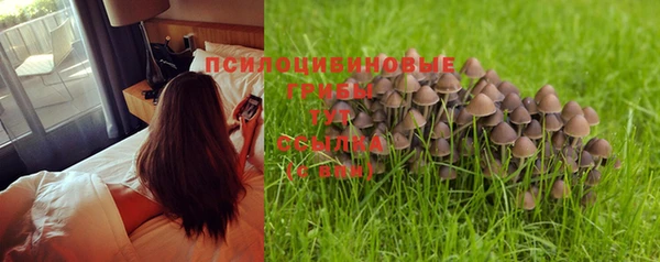 mix Лагань