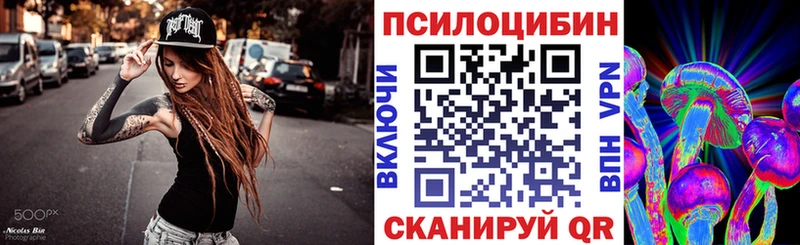 Купить закладки  Каменск-Шахтинский  Галлюциногенные грибы Magic Shrooms 
